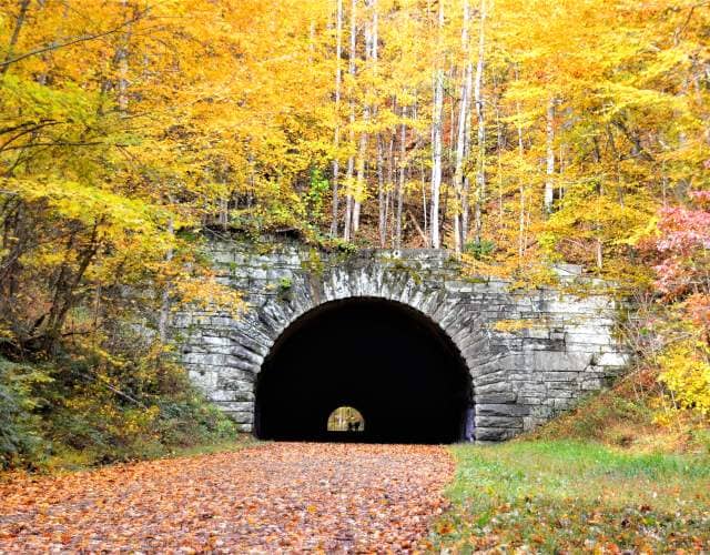 Hiking Trails