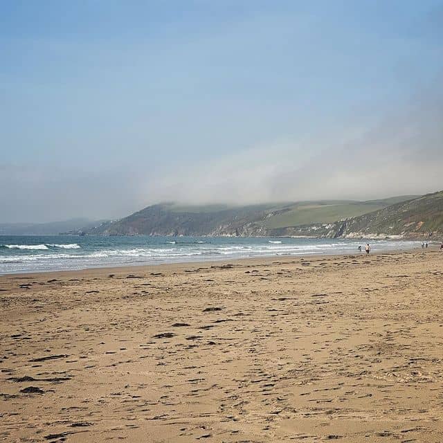 Dog-Friendly Paradise