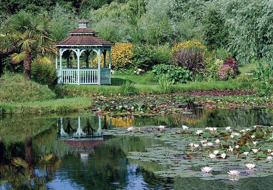 Tranquil Ponds and Lakes