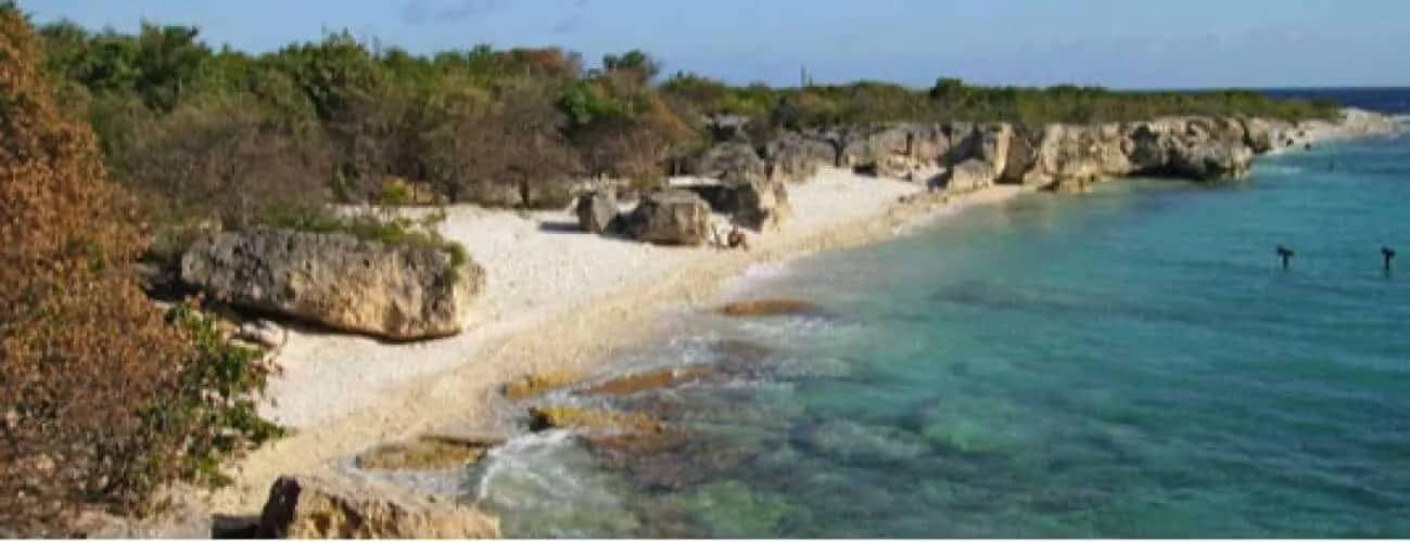 Rocky Coastal Landscape