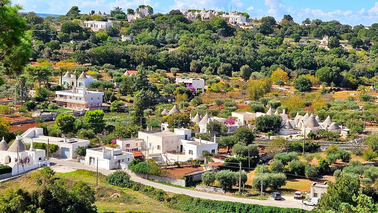 Panoramic Views