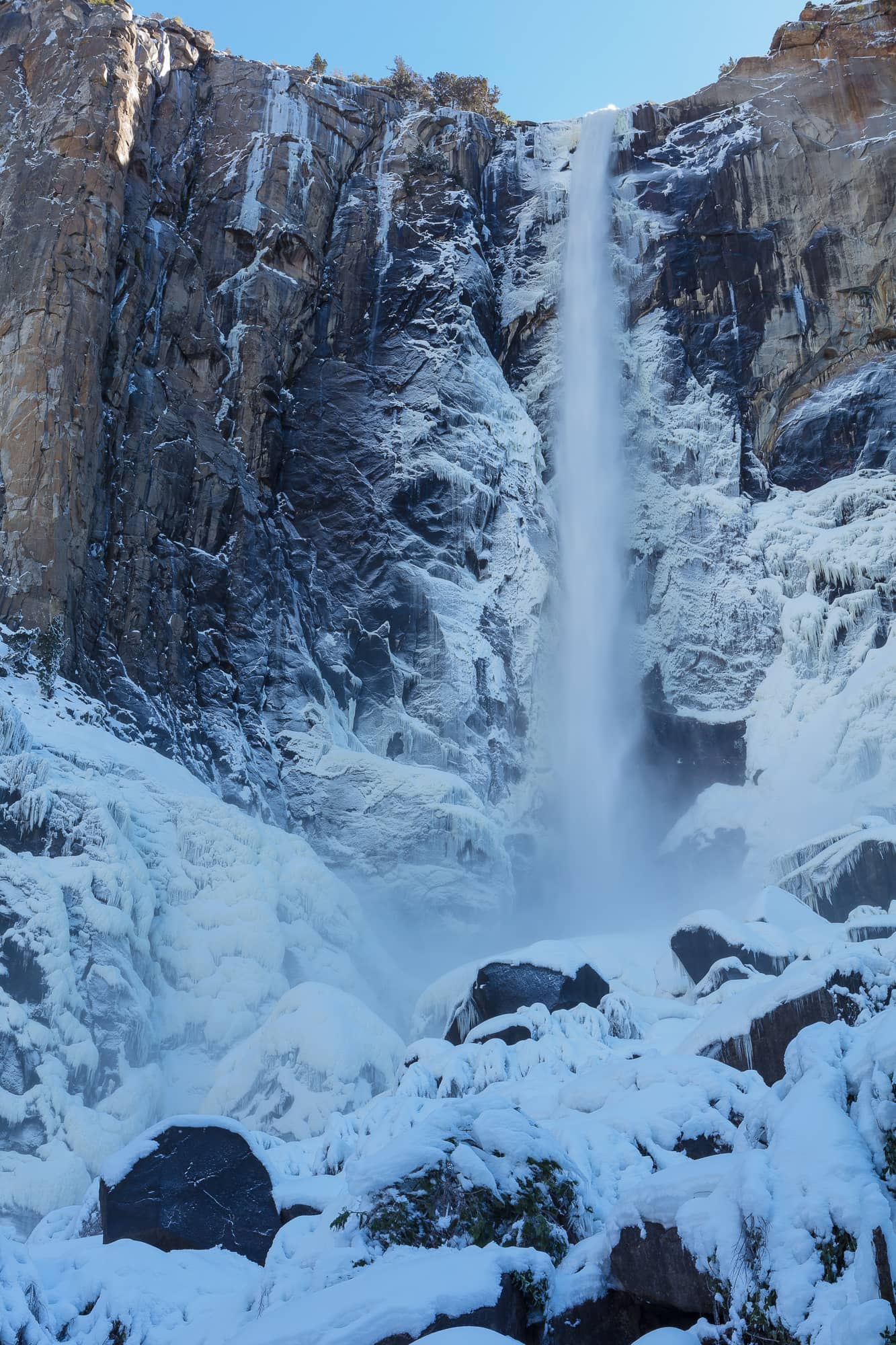 Winter Wonderland