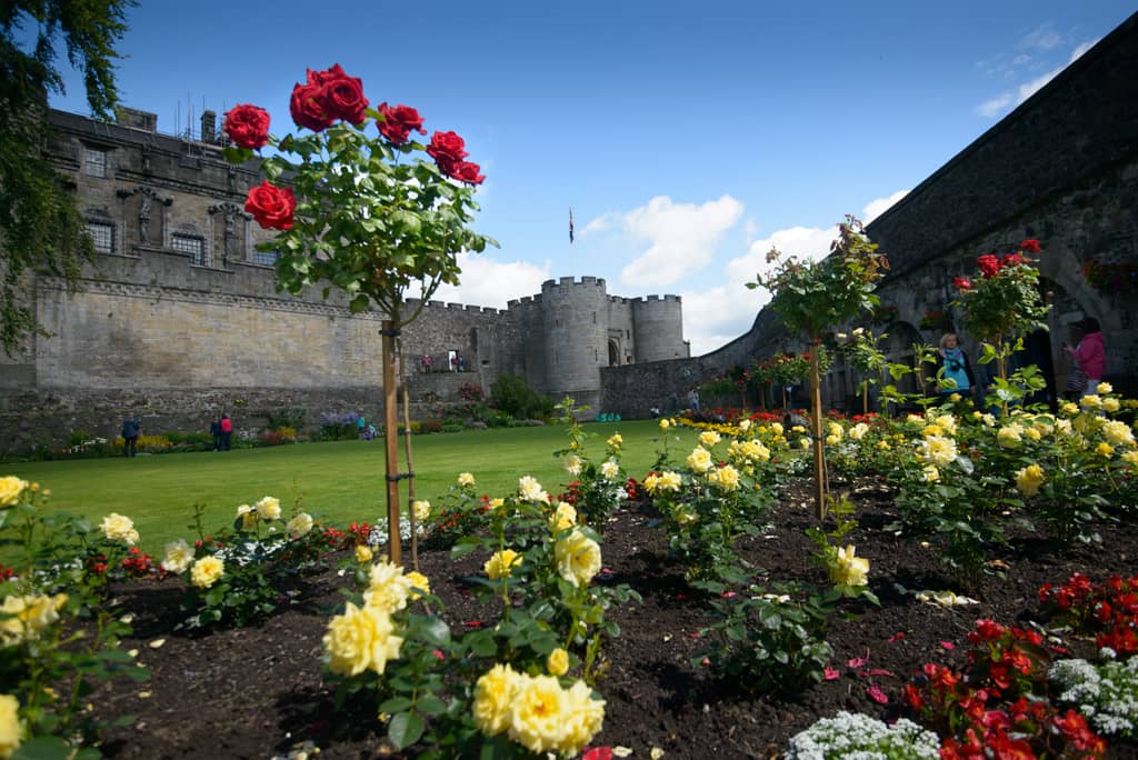 Queen Anne Garden