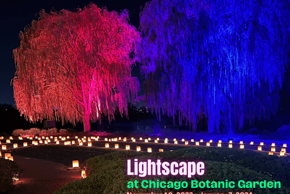 Night Light Show