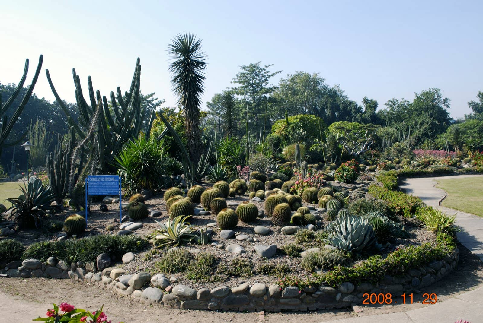 Medicinal Herb Garden