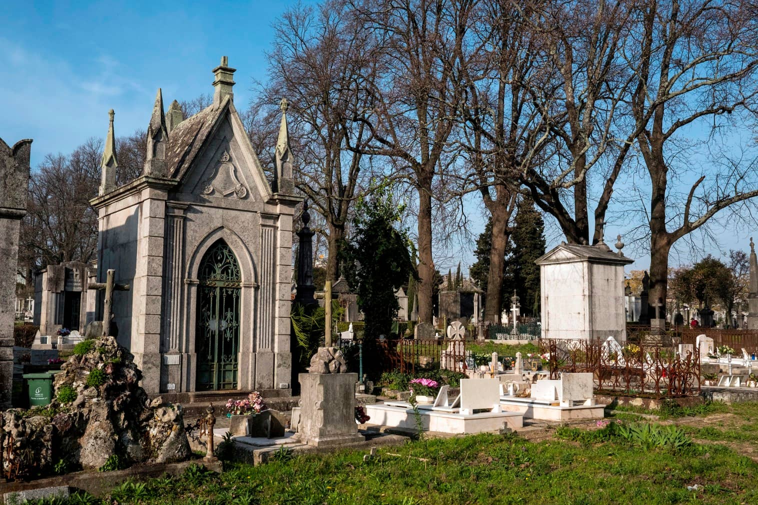 Social Society Sections