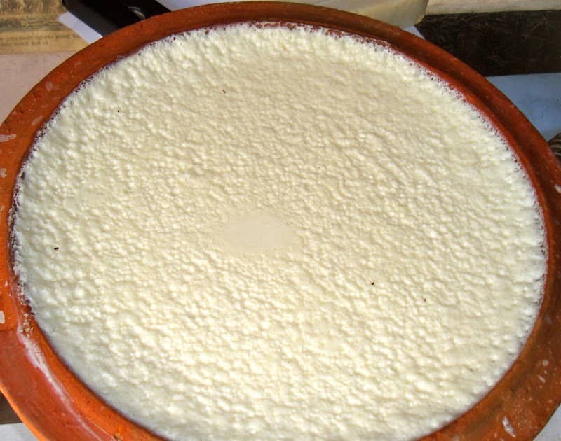 Juju Dhau (King Yogurt)