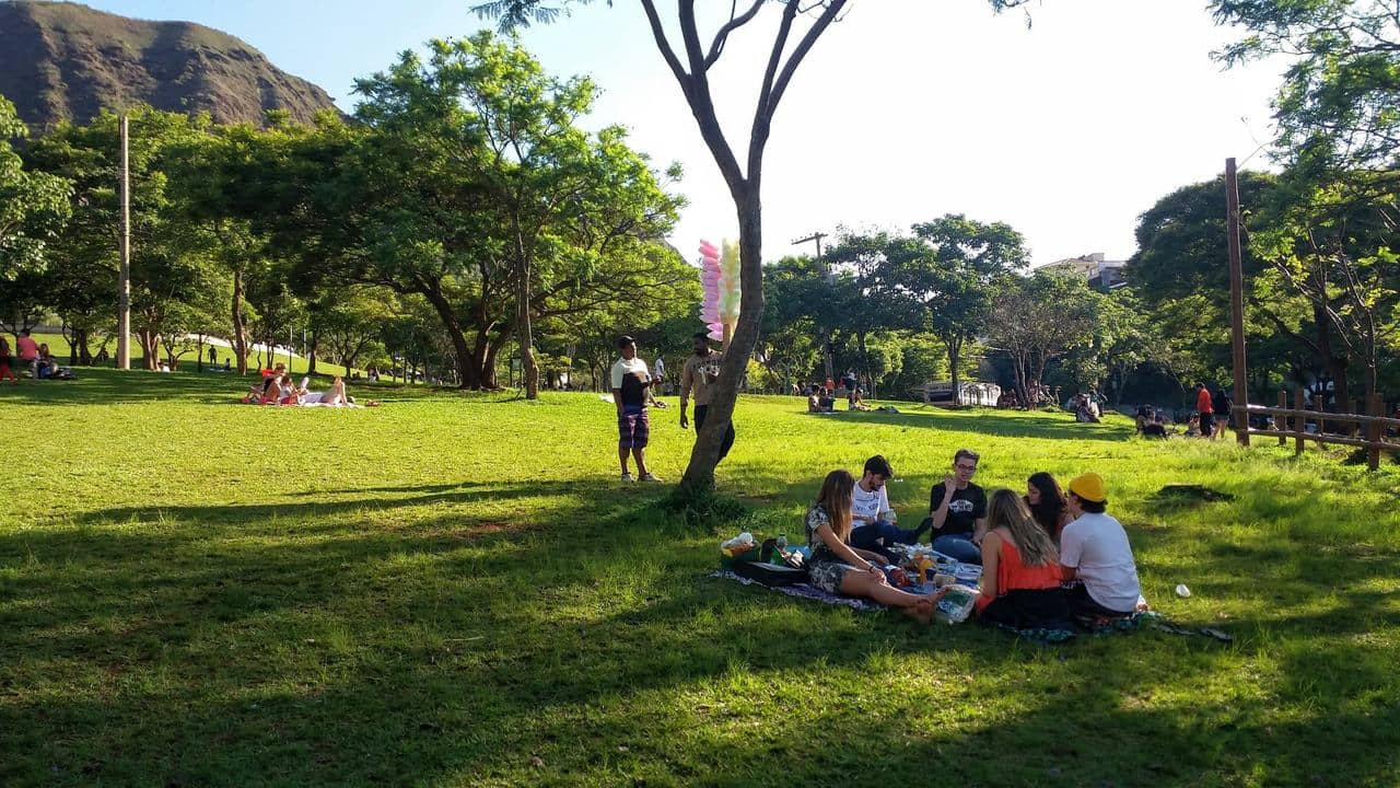 Picnic Paradise
