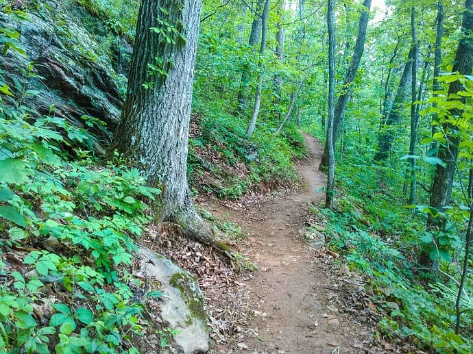 Warrie Circuit & Twin Falls Trail