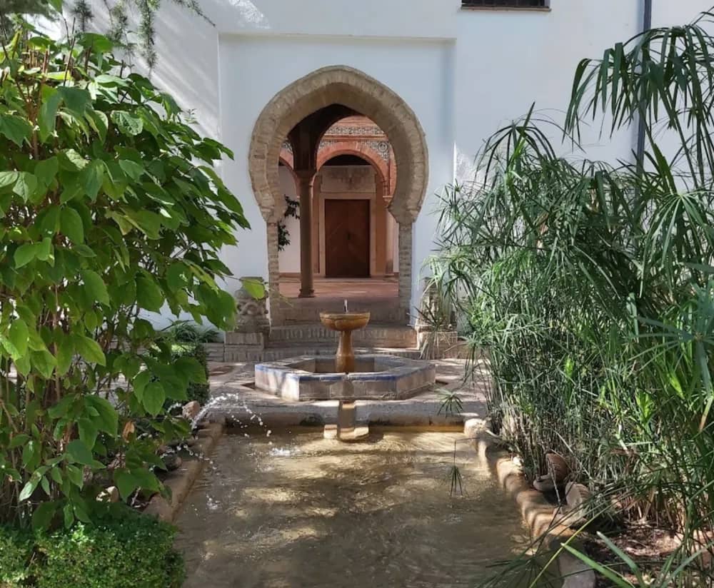 Terrace Garden Views