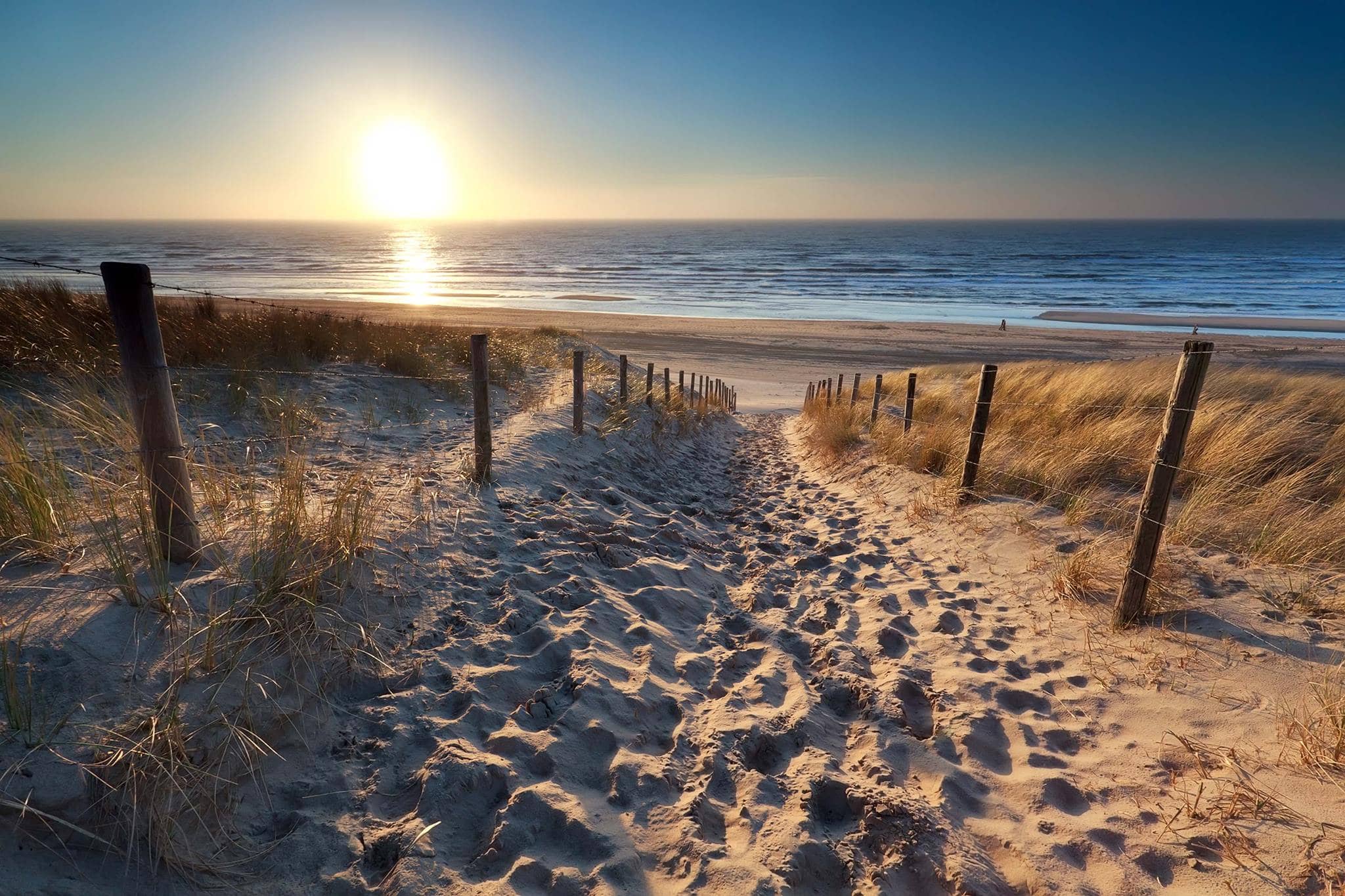 Dune and Sea Landscapes