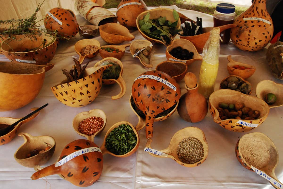 Cultural Artifacts and Exhibits