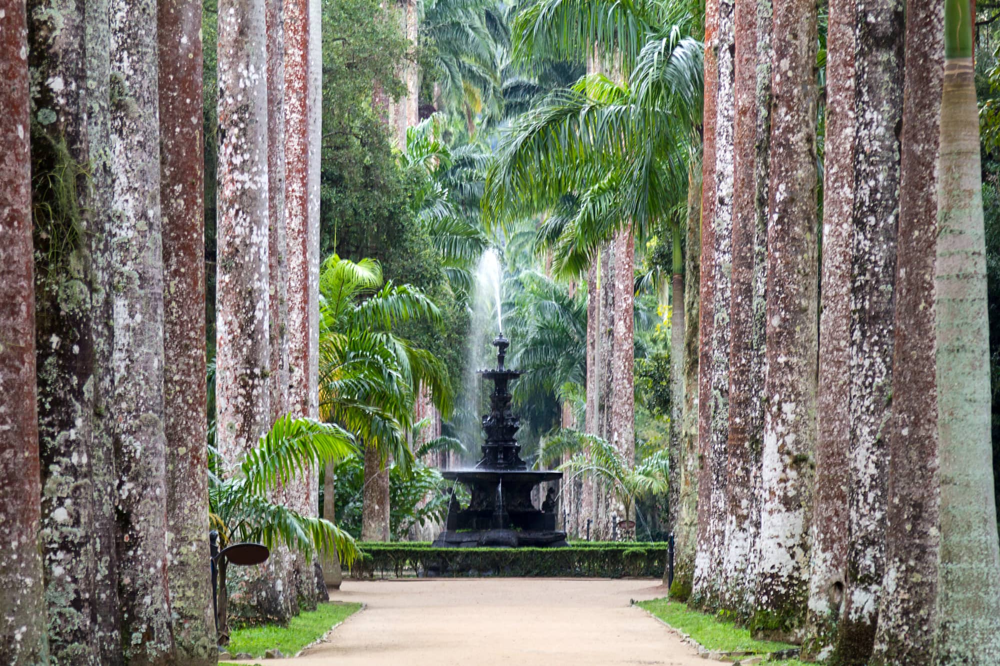 Orquidário & Jardim Sensorial