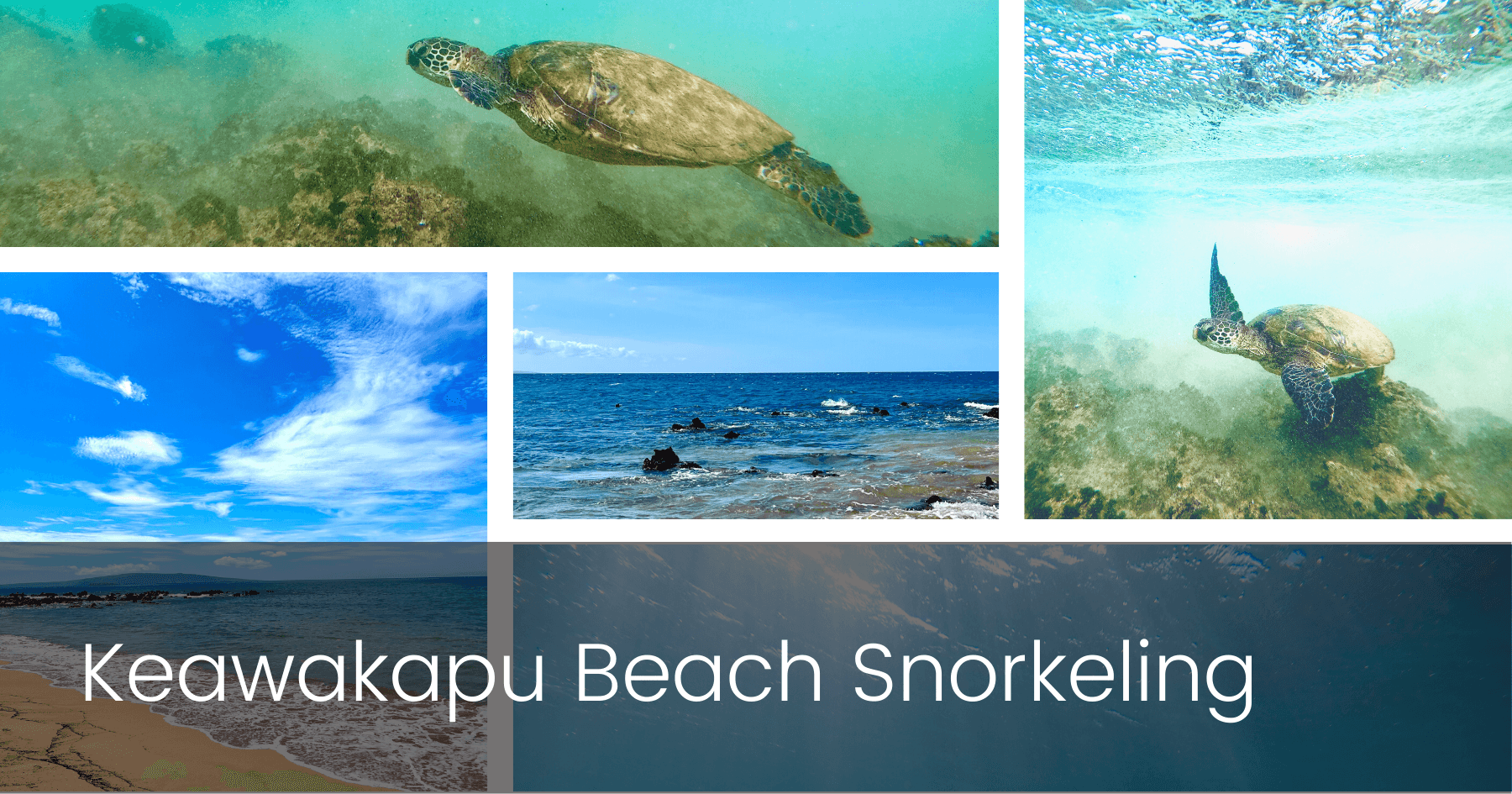 Snorkeling Adventures