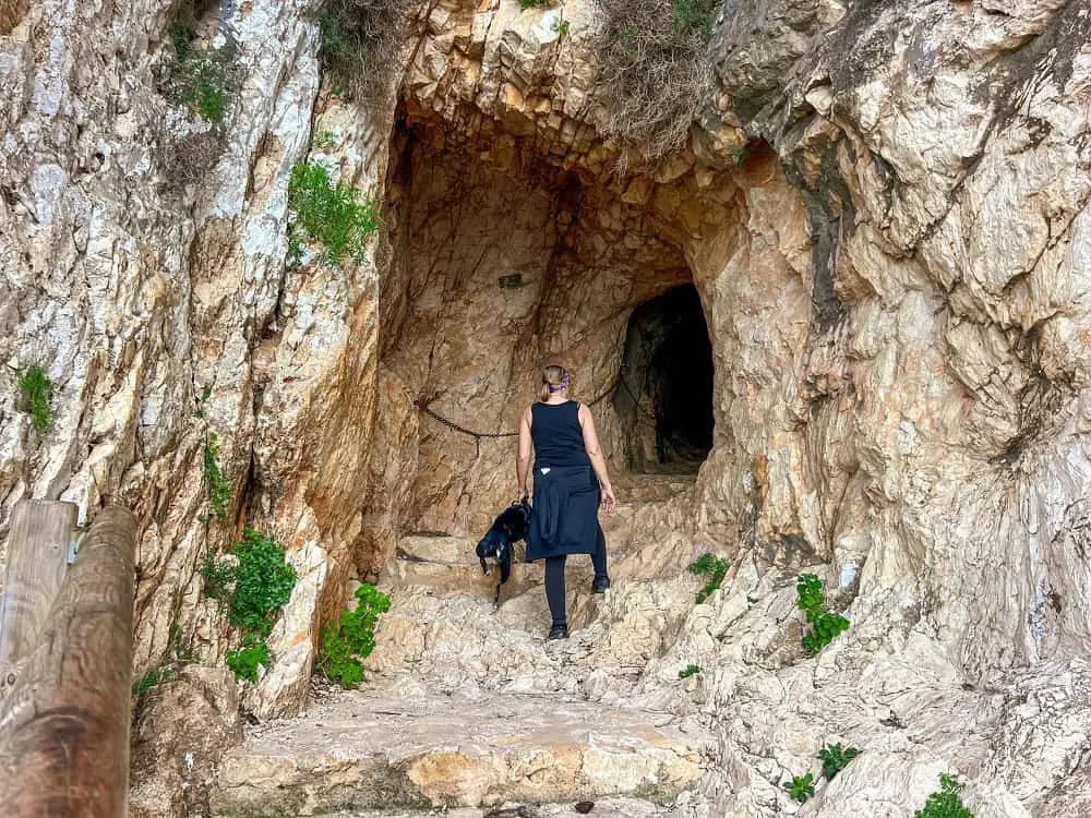 The Tunnel Section