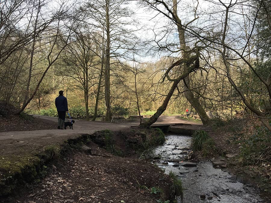 Woodland Trails
