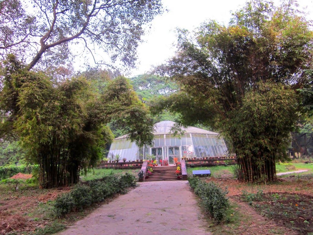 Orchid House