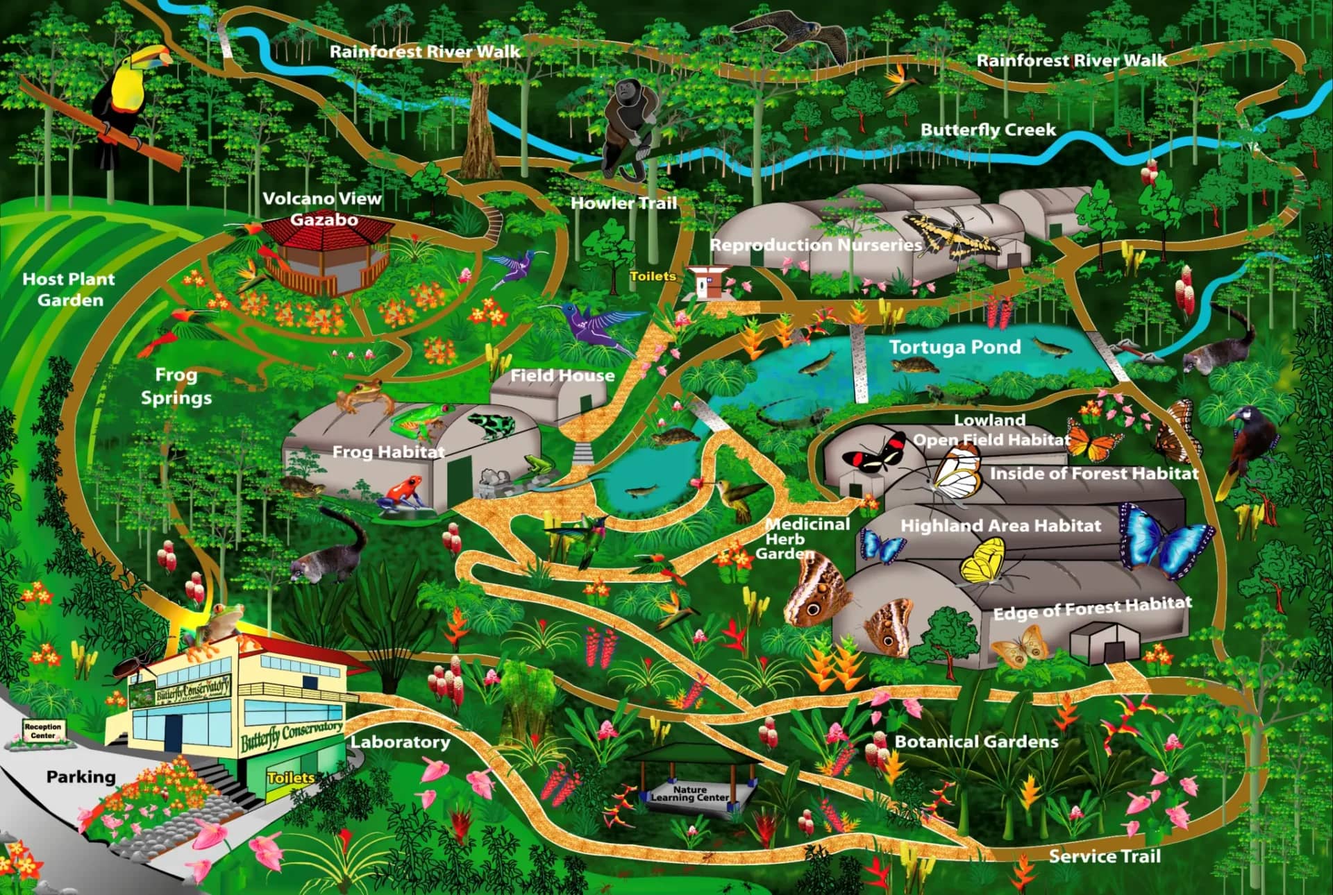 Informative Guided Tours