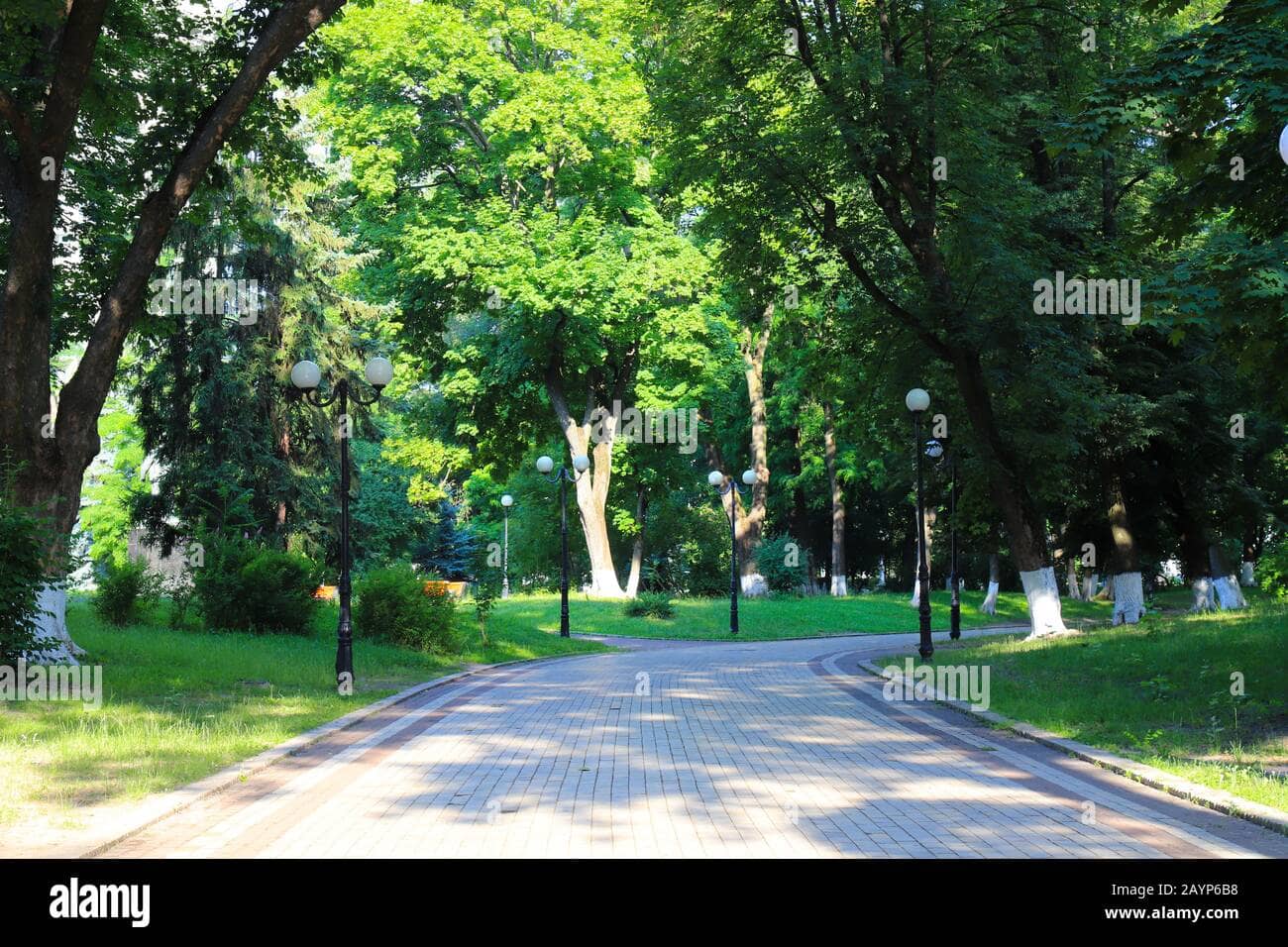 Scenic Walking Paths