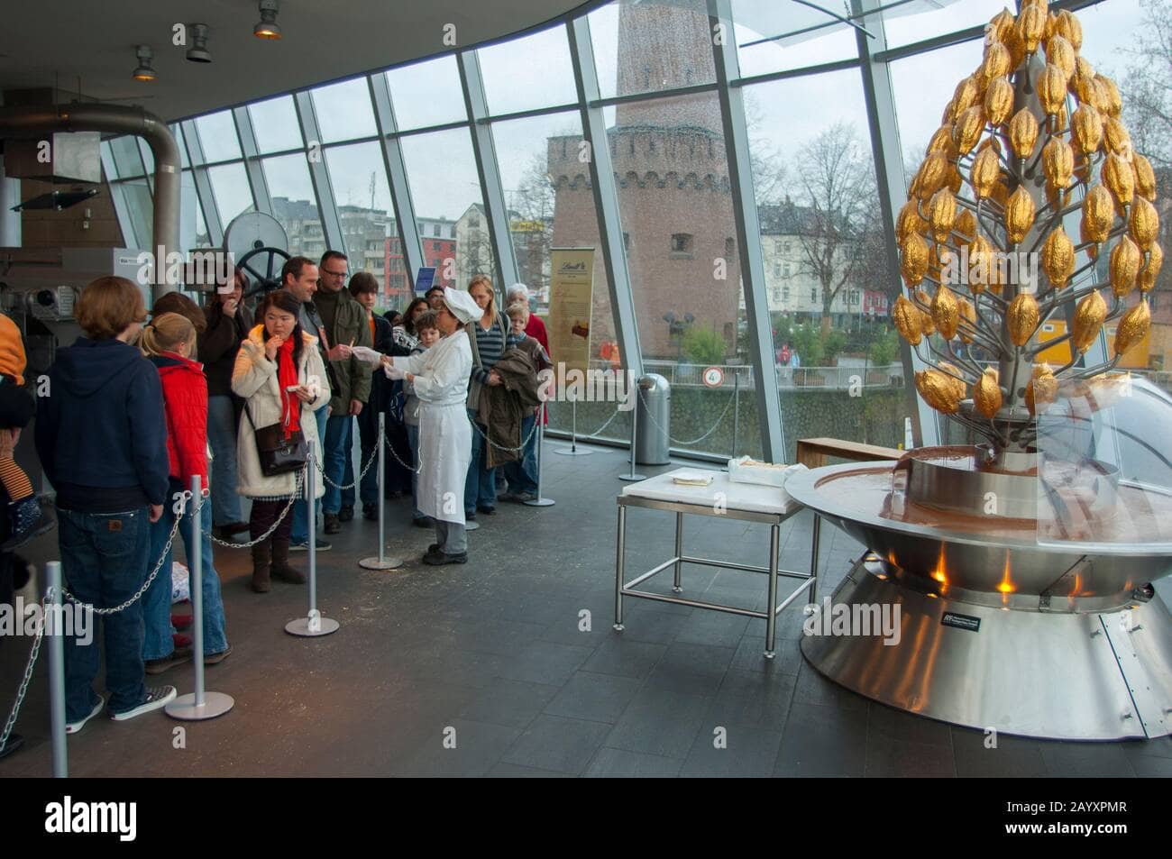 Chocolate Tasting Station