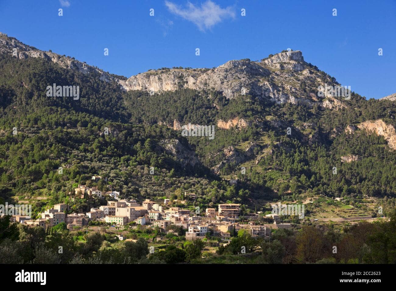 Tramuntana Mountain Views