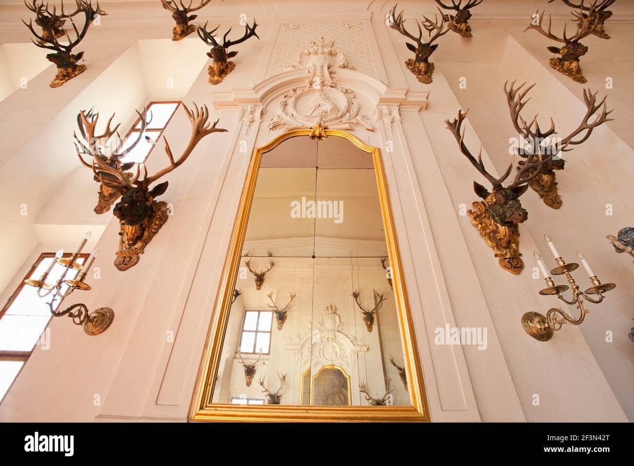 The Grand Antler Collection