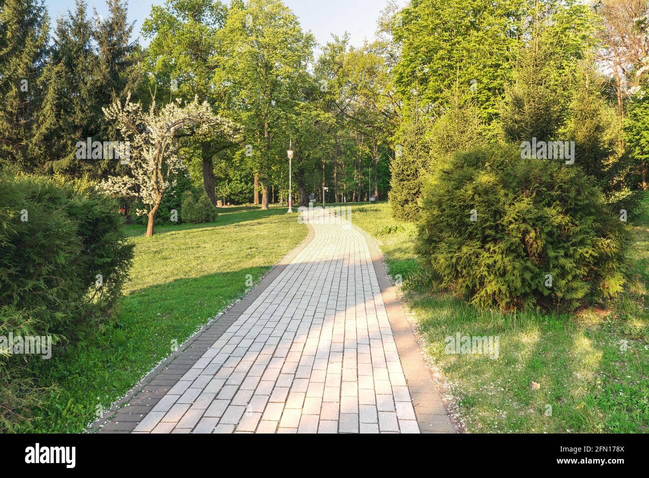 Labyrinth of Walkways