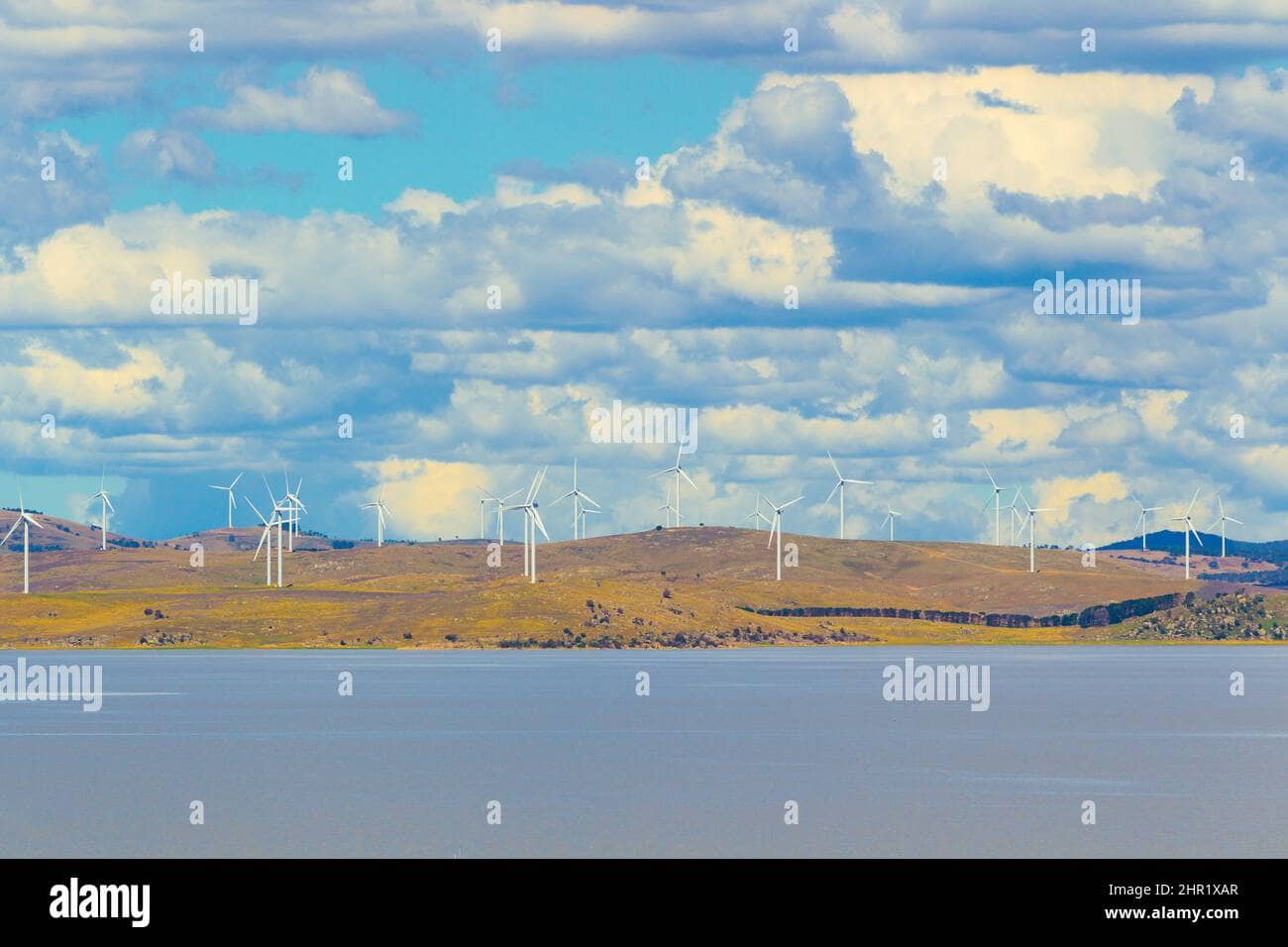 Wind Farm Spectacle