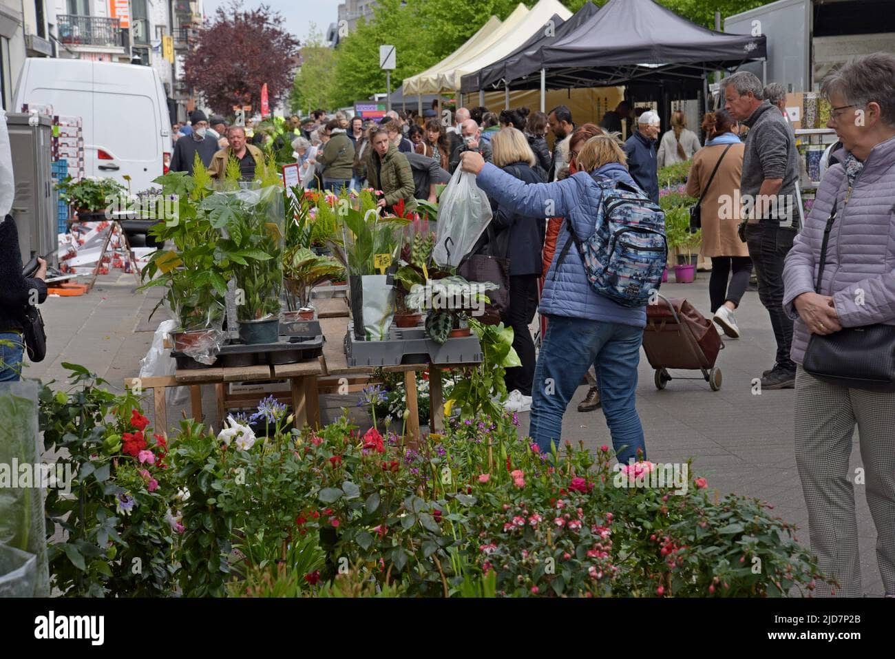 Stunning Flower Stalls