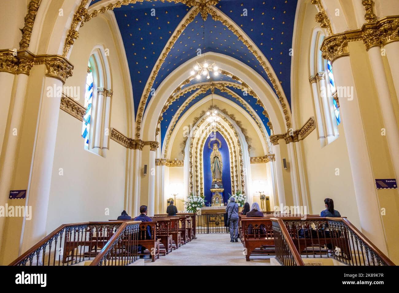 Ornate Vaulted Interior