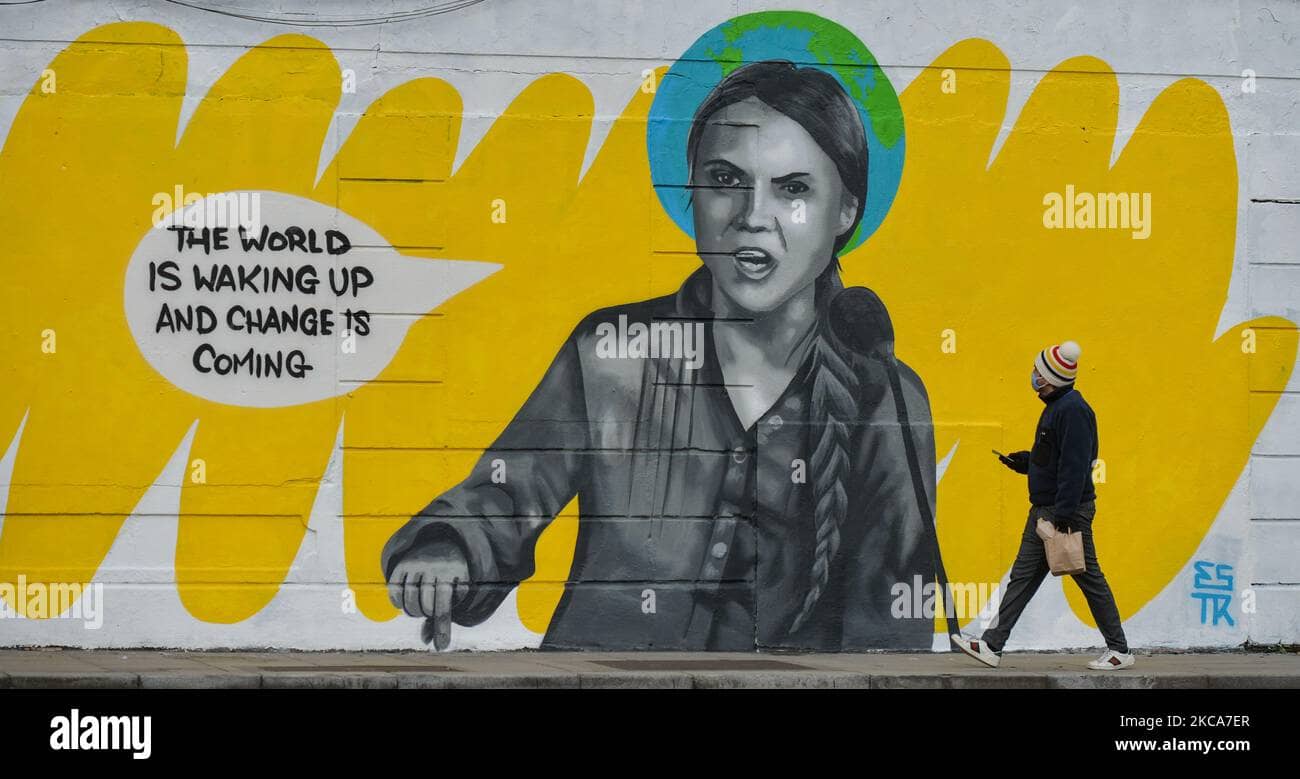 Local Artist Spotlights