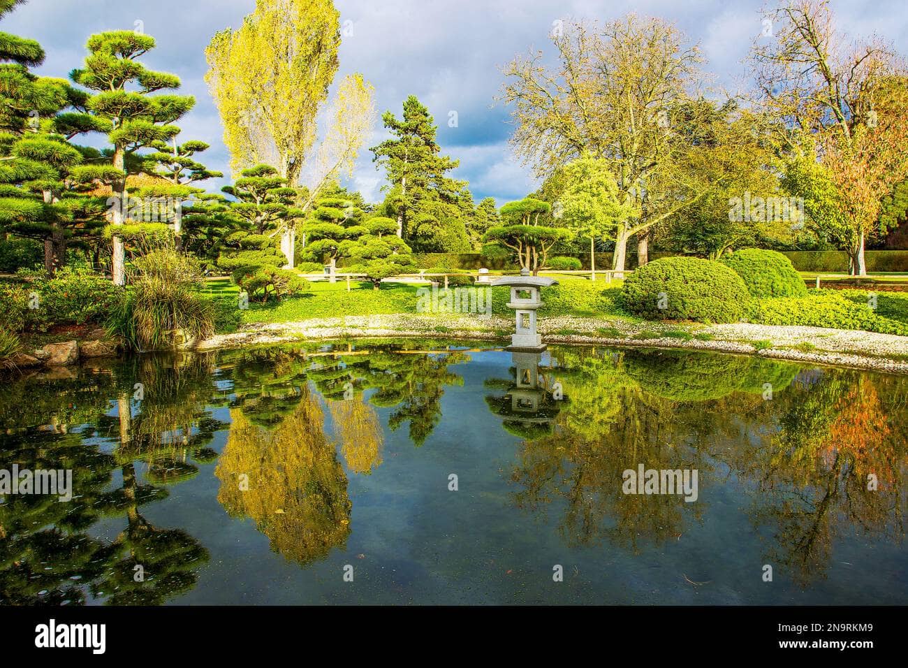 Koi Ponds