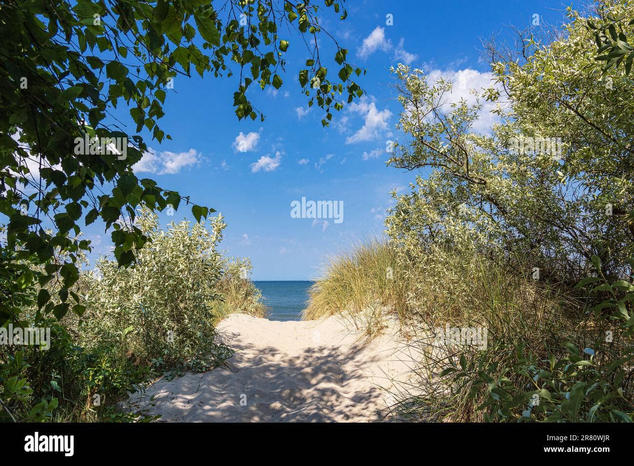 Baltic Sea Beaches