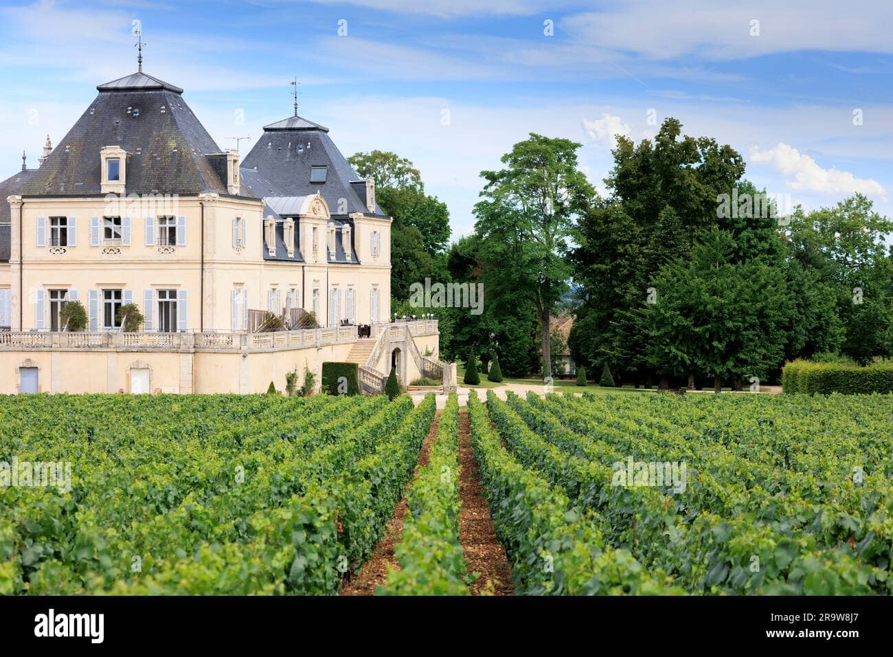 Château Architecture
