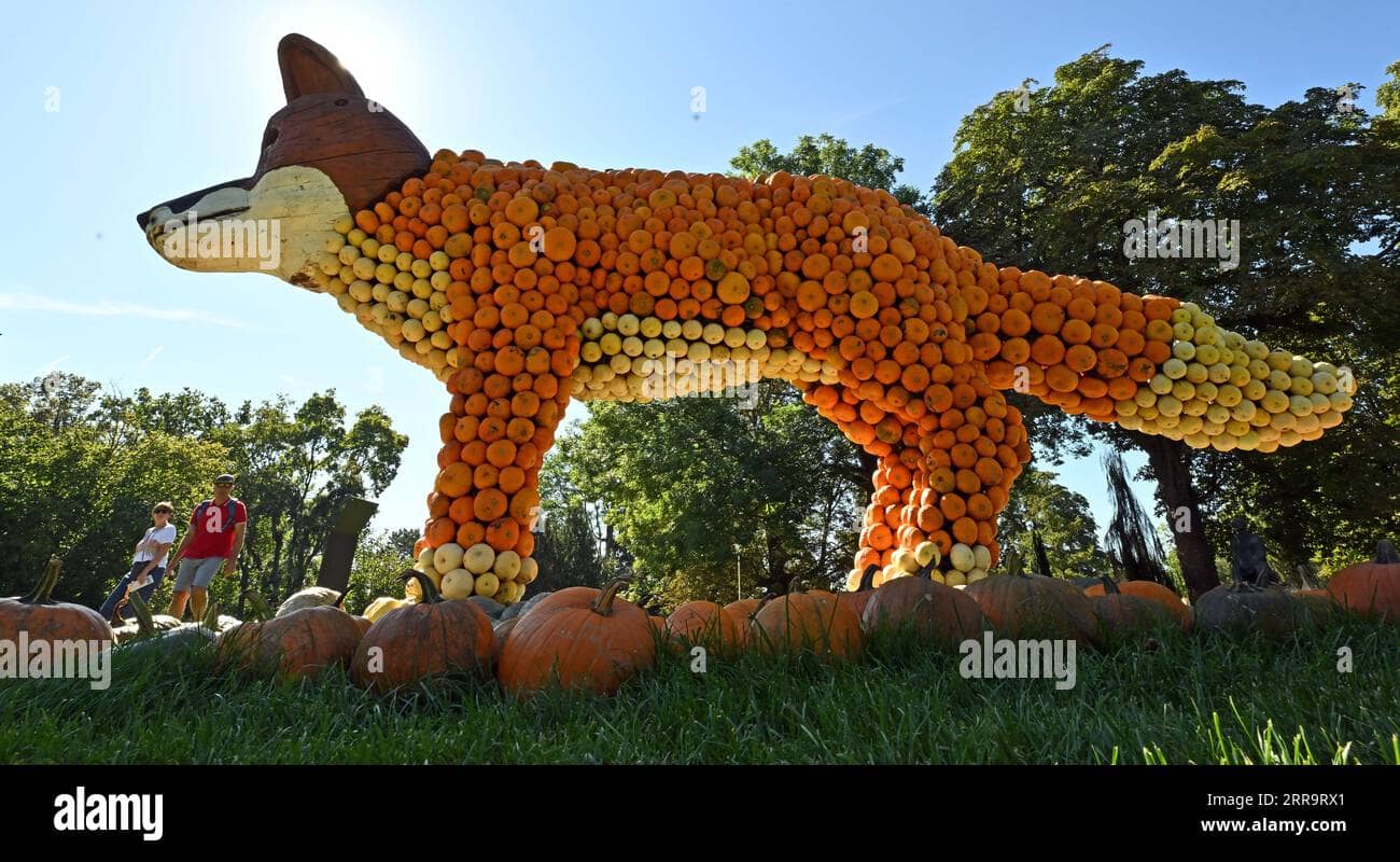 Giant Pumpkin Sculptures