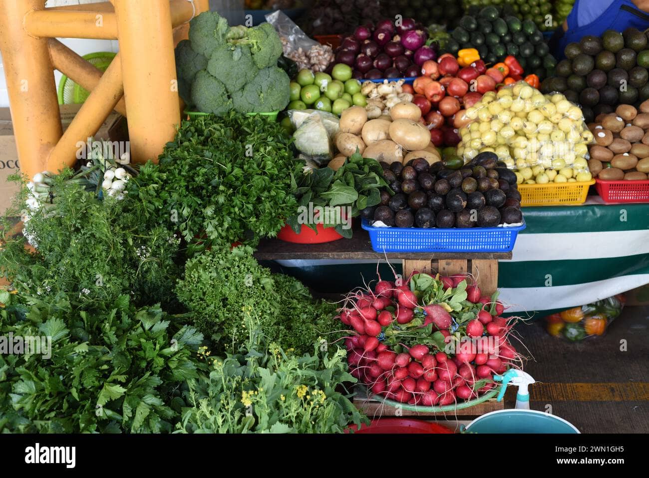 Fresh Produce Galore