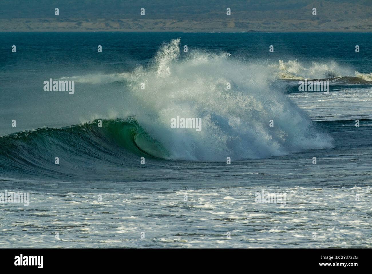 Surfer's Photography Haven