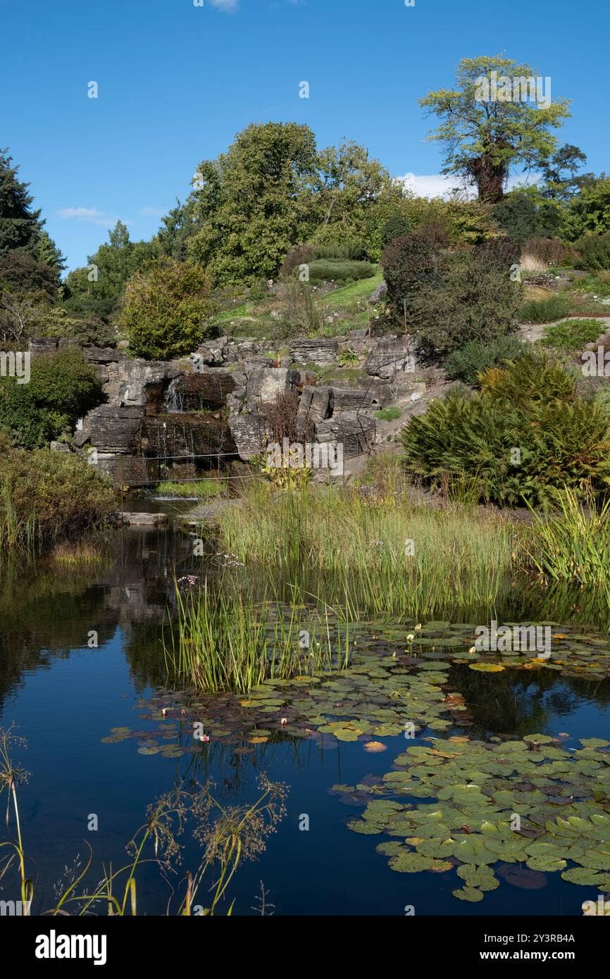 Rock Garden Wonders