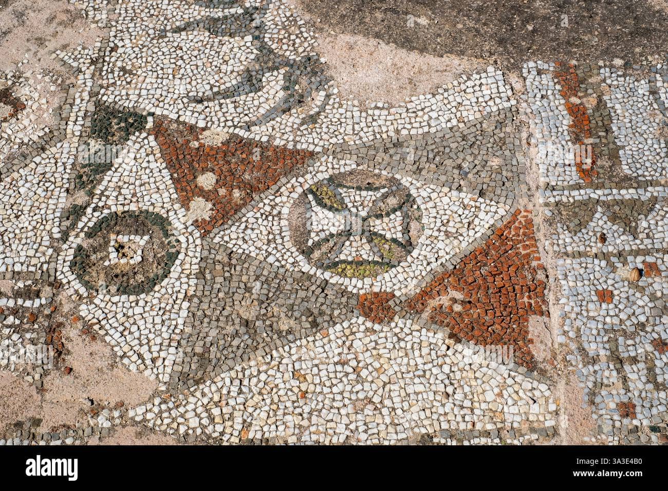 In-Situ Mosaics