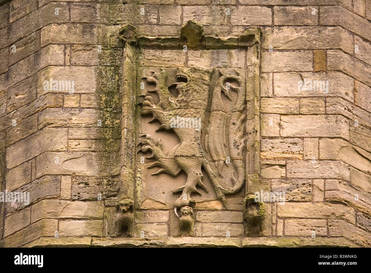 Lion Tower Entrance