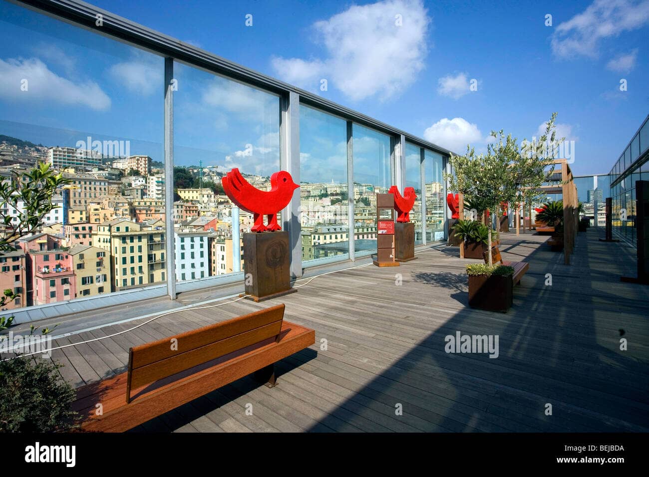 Panoramic Harbor Views