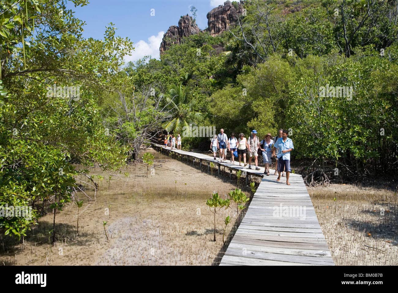 Curieuse Mangrove Boardwalk