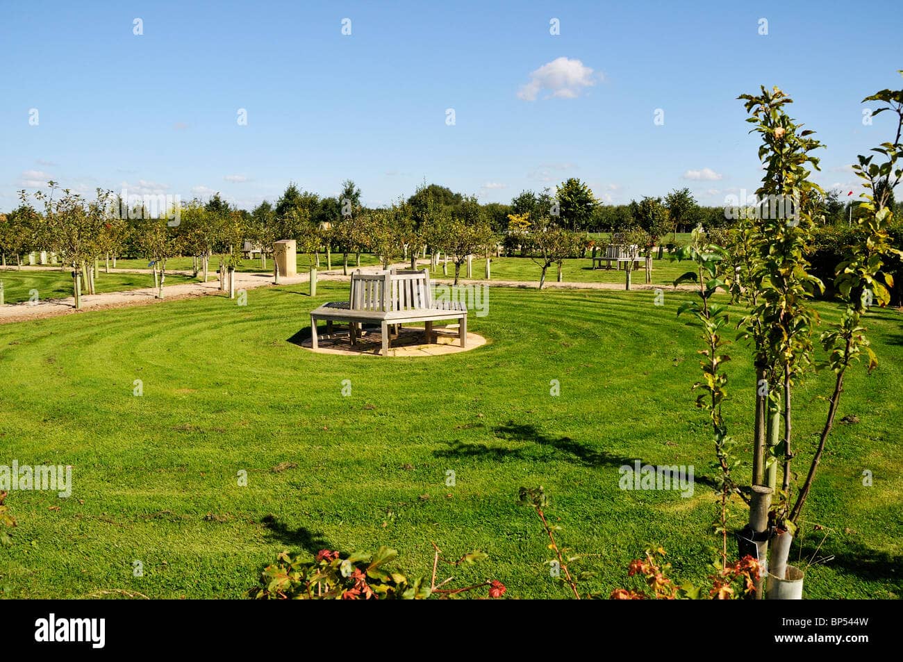 Peace Garden