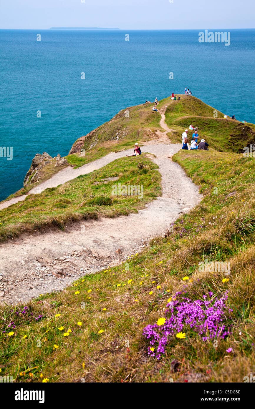Lundy Island Vista