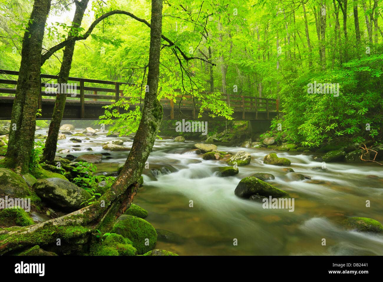 Oconaluftee River Views