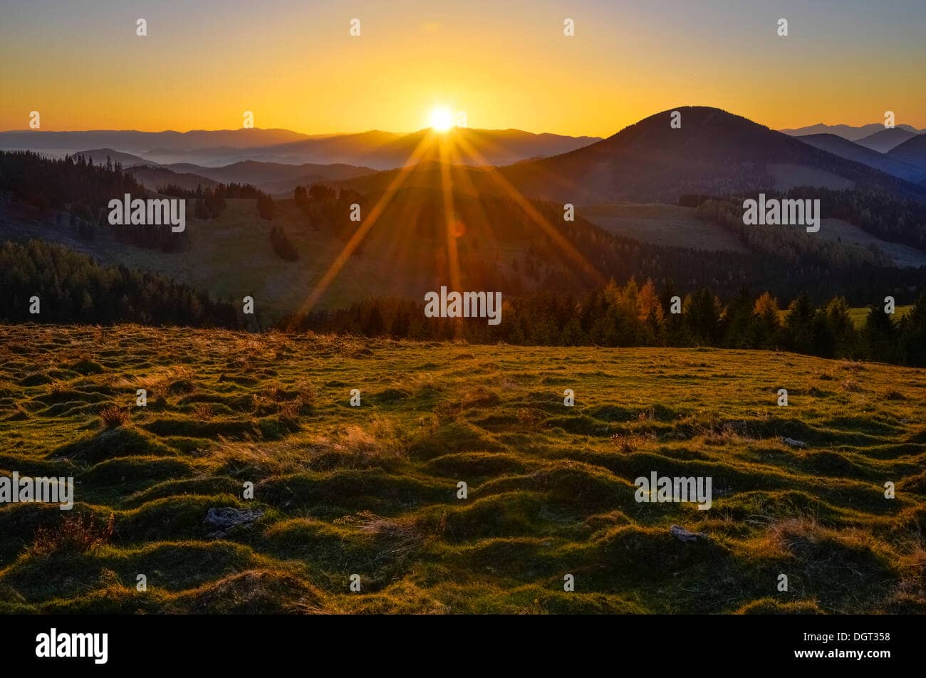 Sommeralm Alpine Pastures