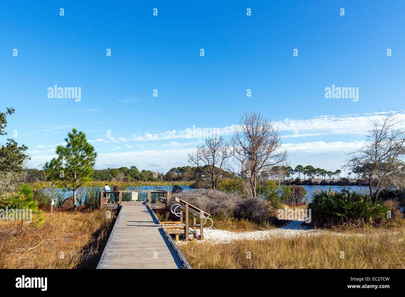 Gator Lake Boardwalk