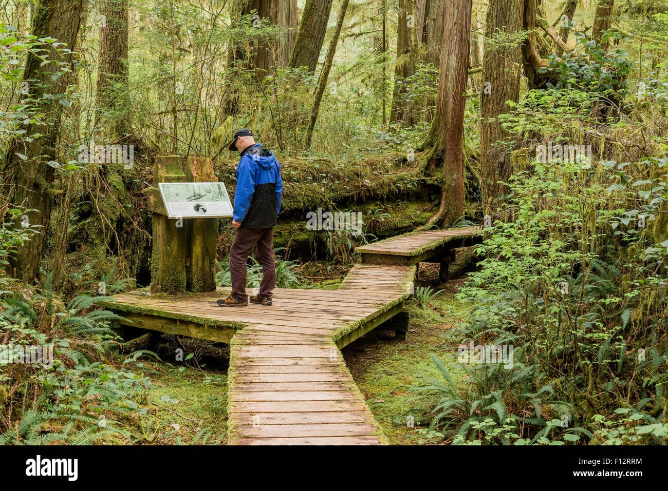 Interpretive Signage