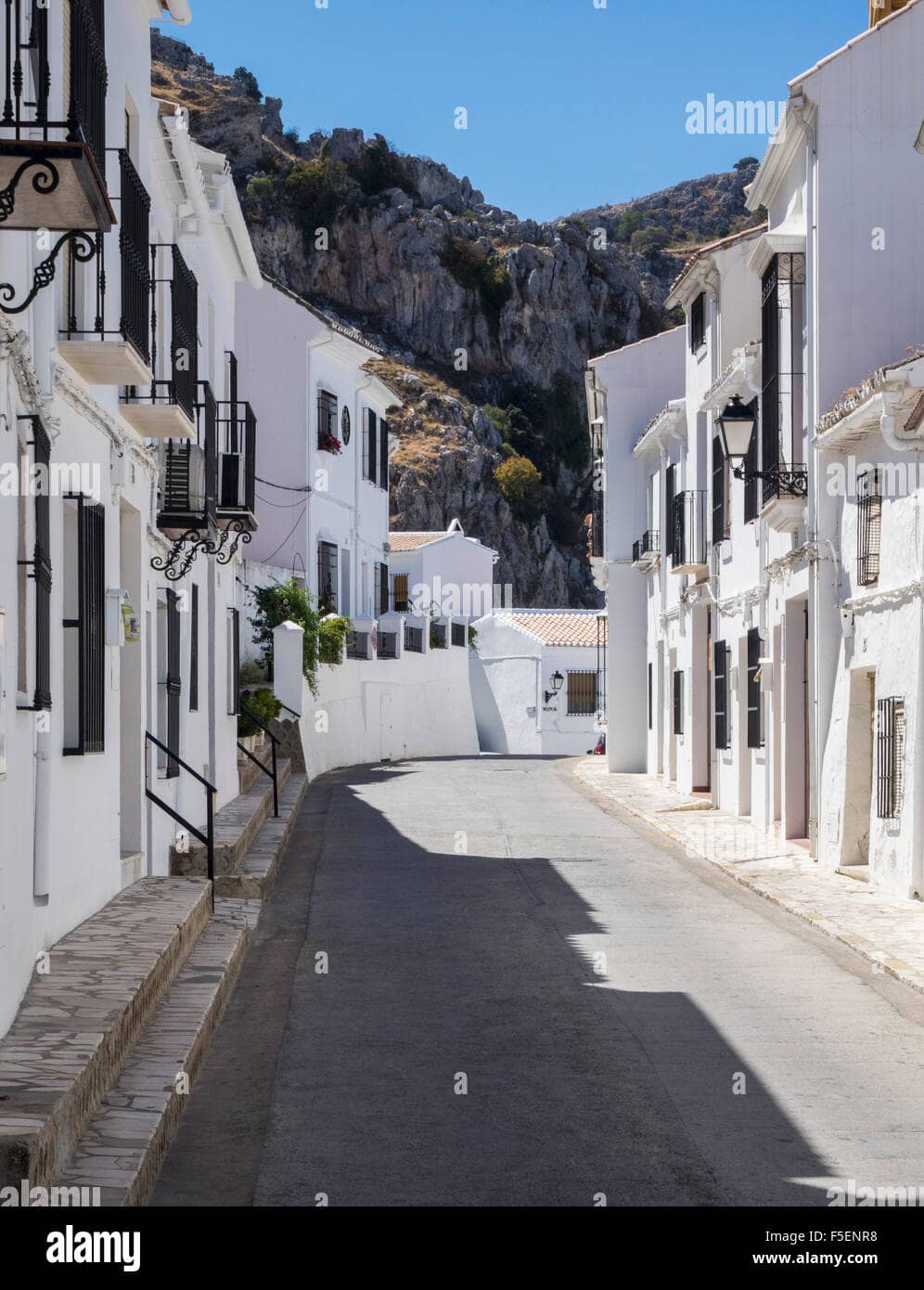 Immaculate Village Streets