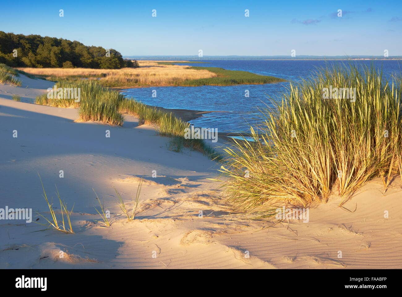 Coastal Lakes